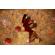 Flashpoint AK-R21: Picture 26 thumbnail